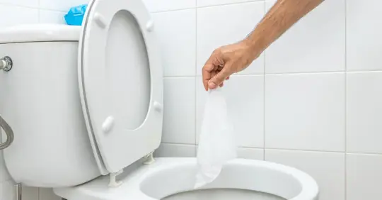 flushable wipe