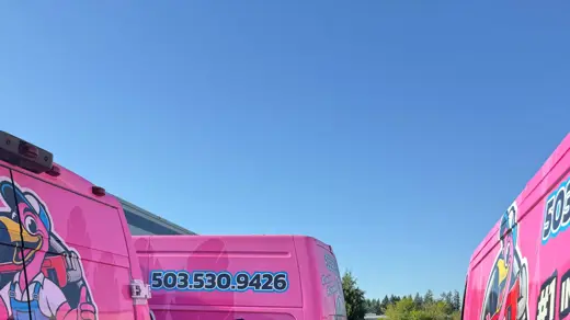 Pink Flamingo Plumbing vans