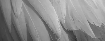 Water Filtration Systems